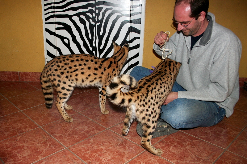 Killikus&reg; Fotographie